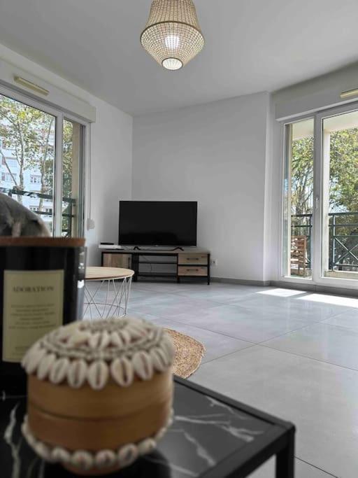 Charmant T3 Moderne Climatise Villeurbanne Ngoại thất bức ảnh