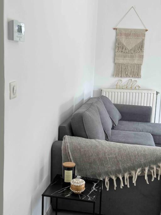 Charmant T3 Moderne Climatise Villeurbanne Ngoại thất bức ảnh