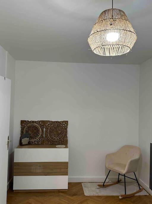 Charmant T3 Moderne Climatise Villeurbanne Ngoại thất bức ảnh
